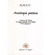 Antologia poetica. Concorso di Poesia “Il Saggio-Auletta Terra nostra” XIII Edizione